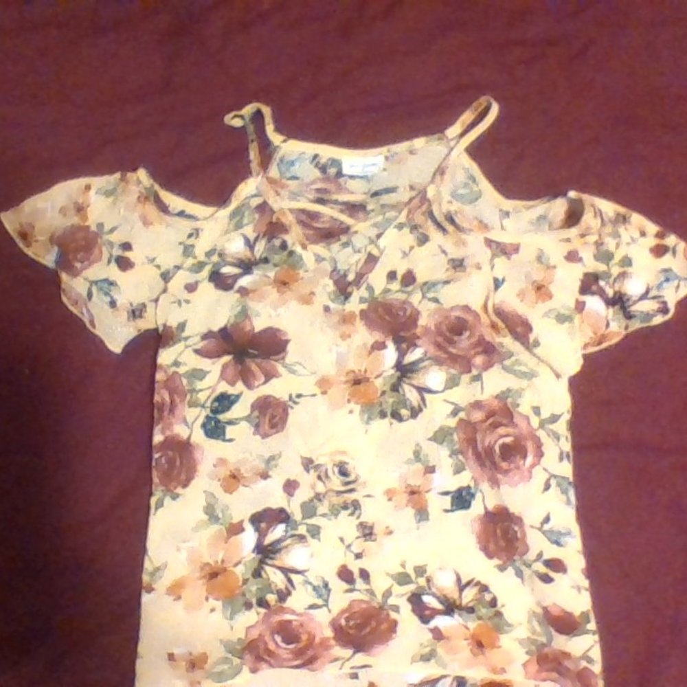 A tan/red/green flowery blouse